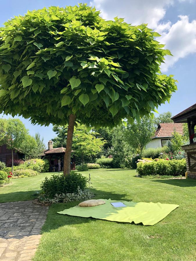 Villa Larus Palics Kültér fotó